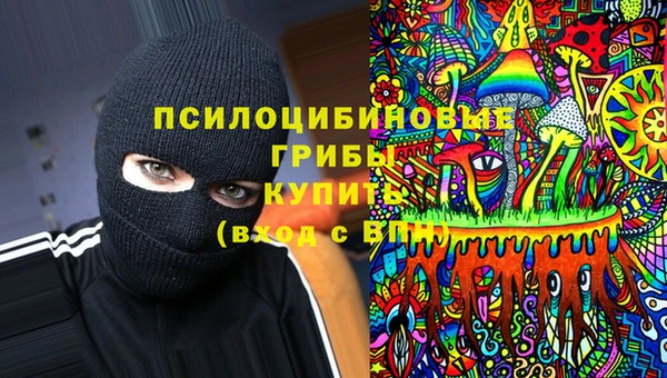 ECSTASY Елизово