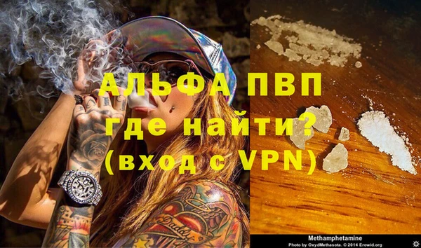 ECSTASY Елизово