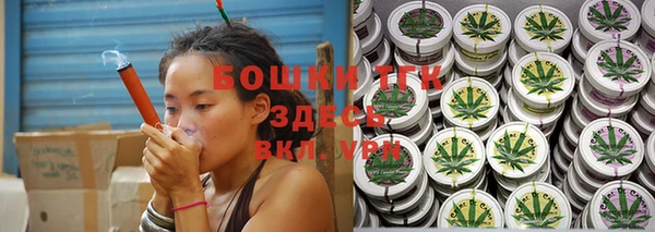 ECSTASY Елизово