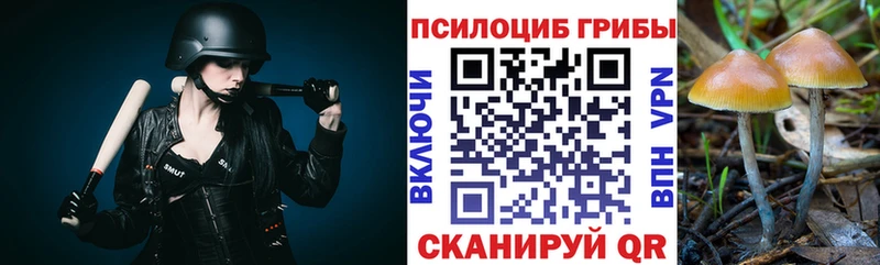Галлюциногенные грибы ЛСД  Купить  Россошь 